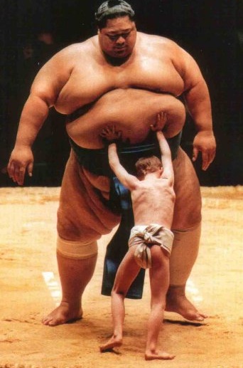 Sumo.jpg